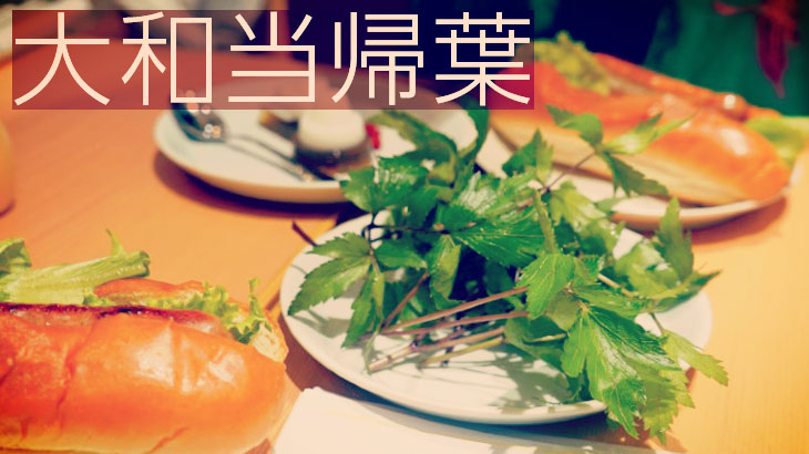 大和当帰葉
