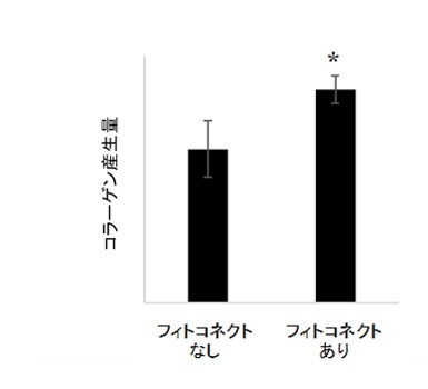 シソ科植物由来成分フィトコネクトによるコラーゲン産生促進効果