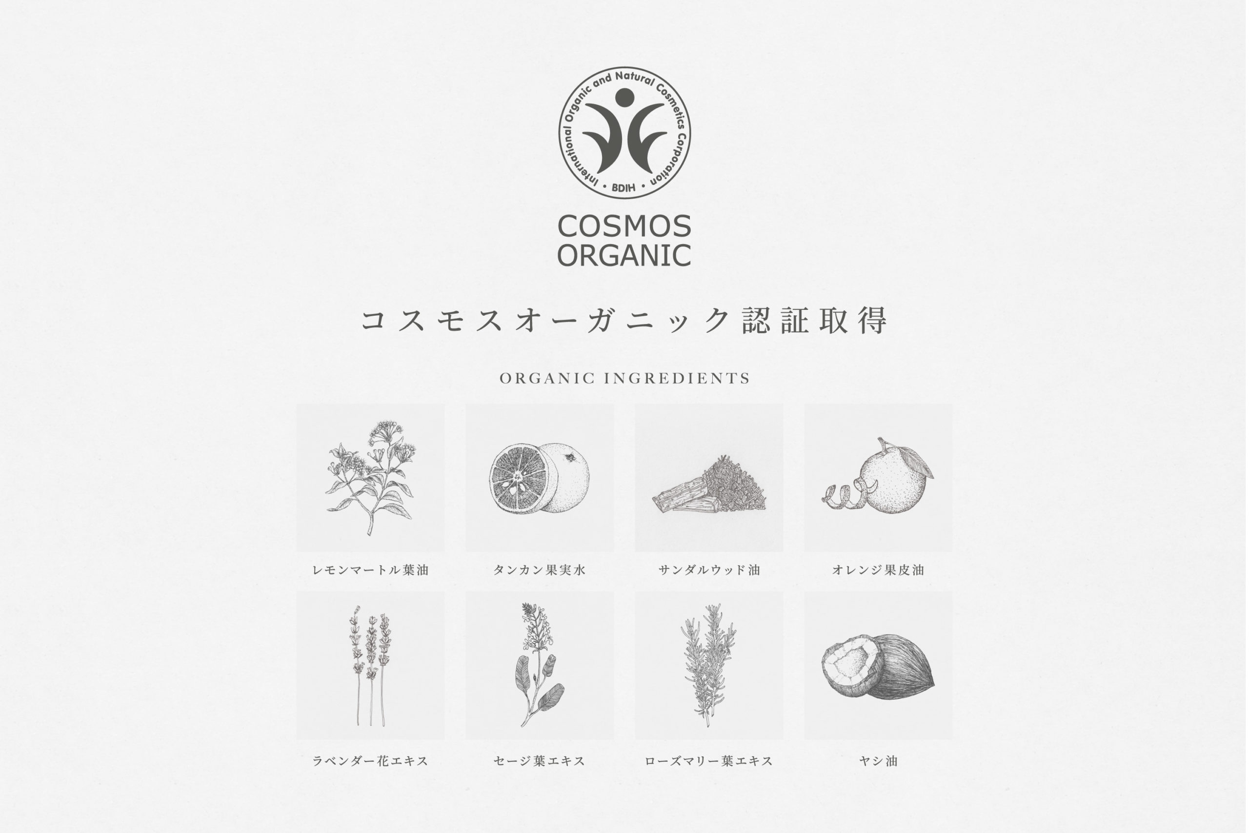シトレア