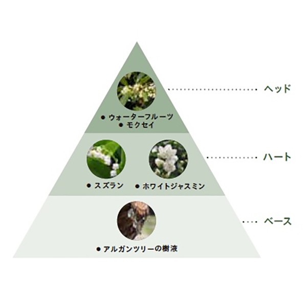フラワーブーケ アルガン フェイストナー