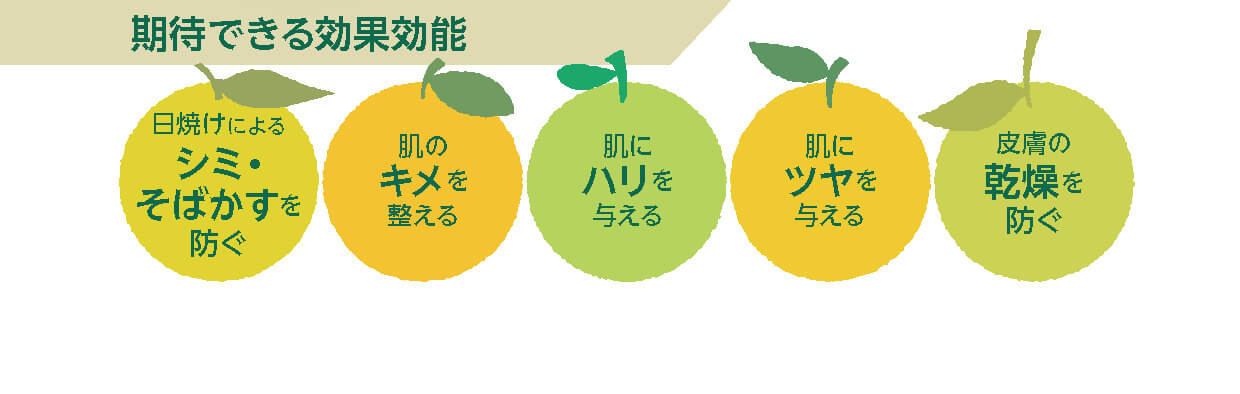 ノビレチンとは