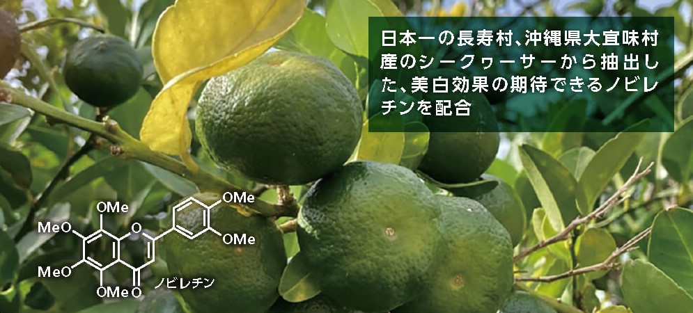 ノビレチンとは