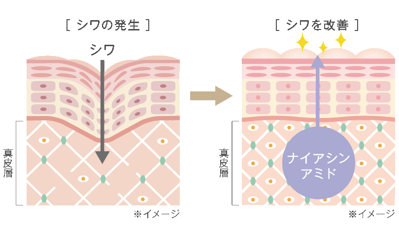 ムービング リンクルケア クリーム