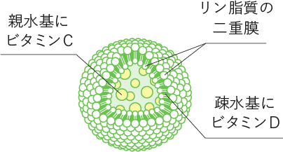 Lypo-C Vitamin C+D