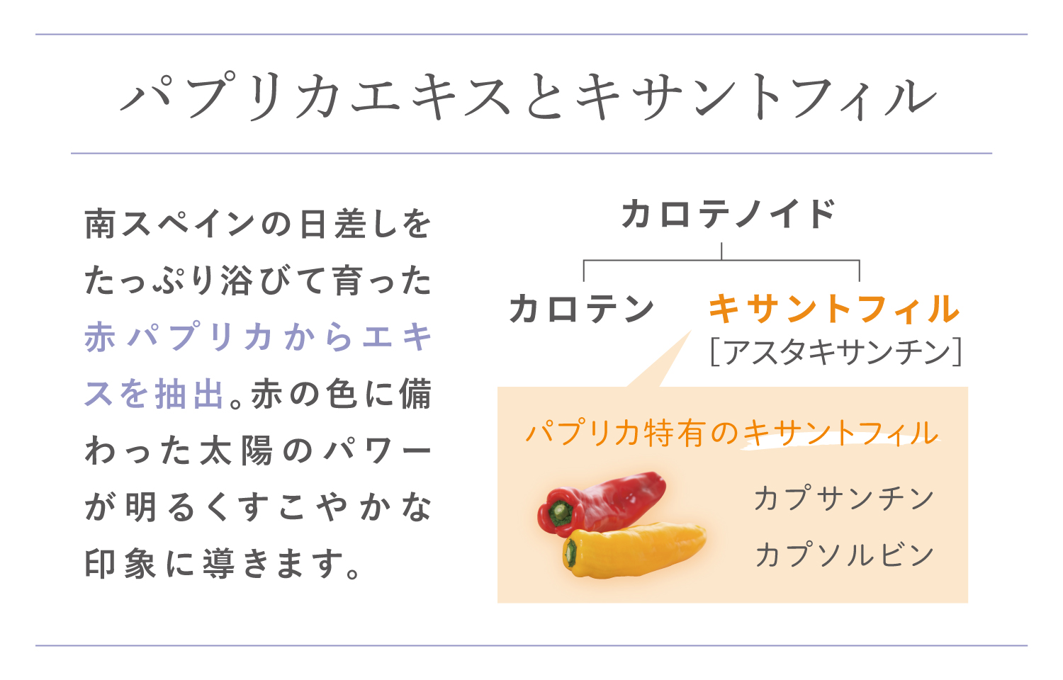 パプリカエキスとは
