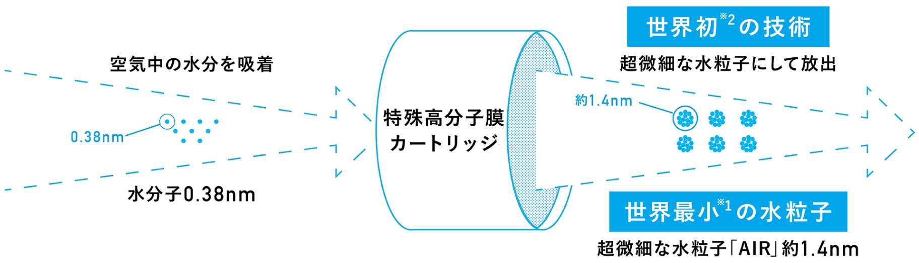 WINDSCELL(ウィンセル)