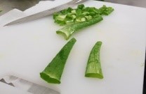 アロエベラ