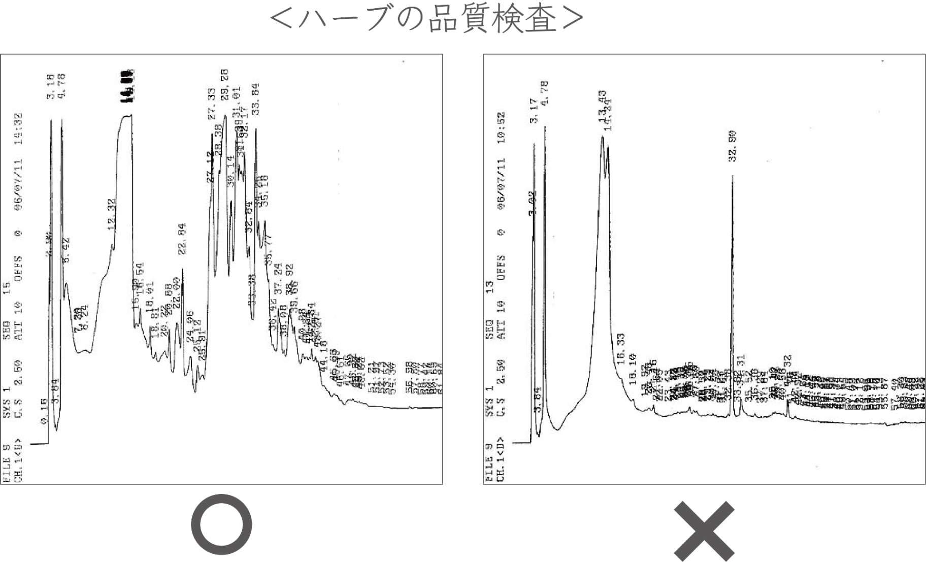 アーユルマスター　マルチオイルセラム