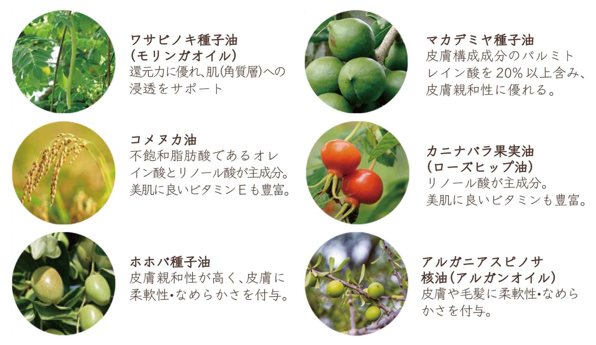 アーユルマスター　マルチオイルセラム