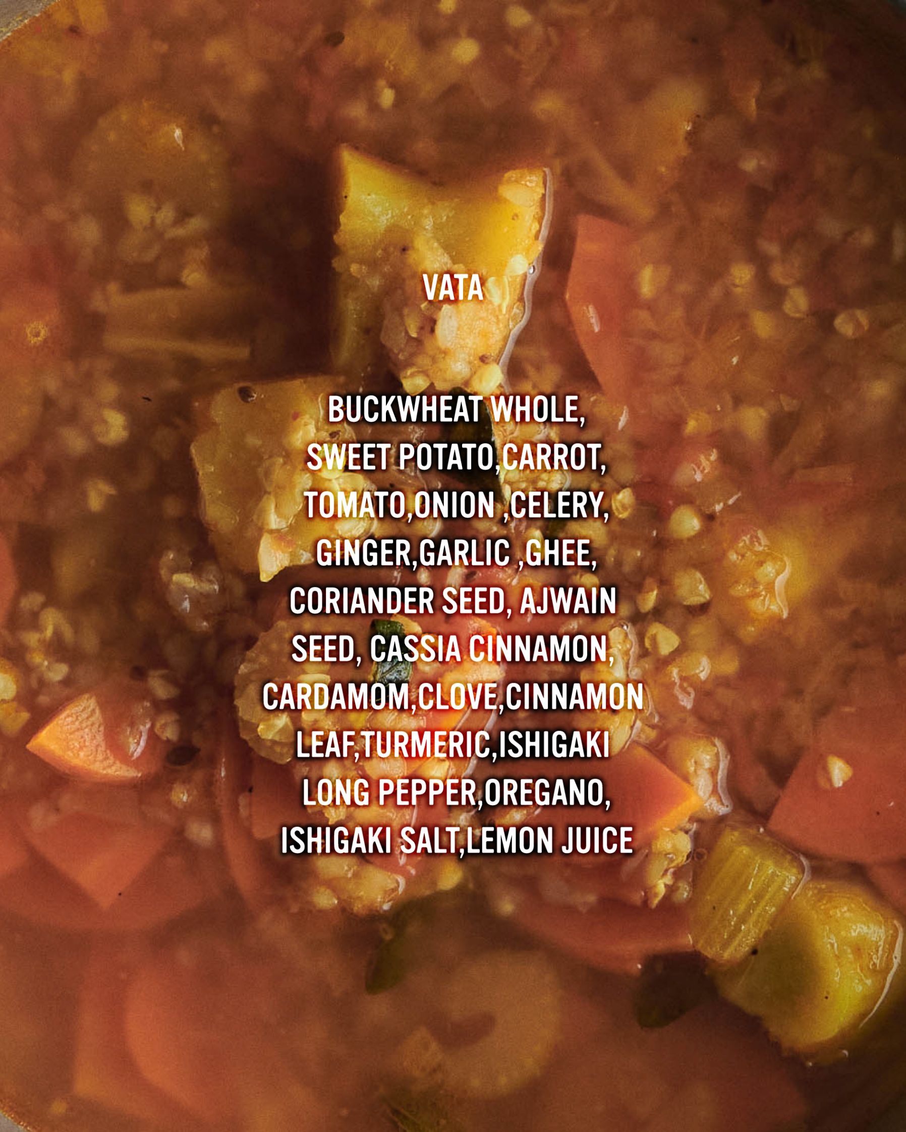 VATA SOUP