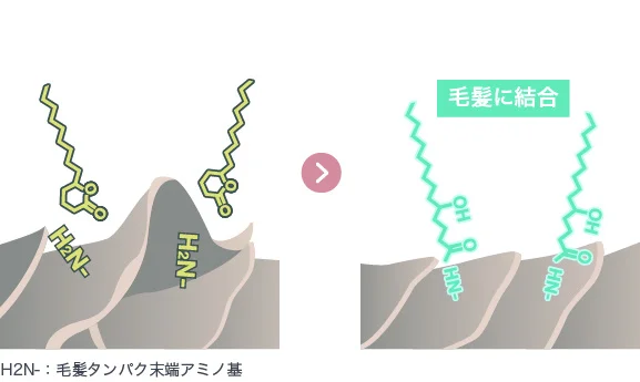 メドウフォーム-δ- ラクトン