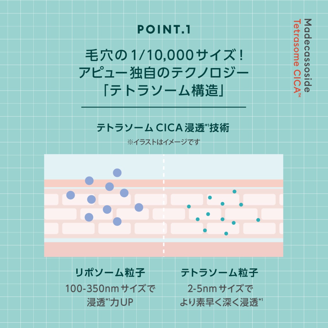 テトラソーム技術