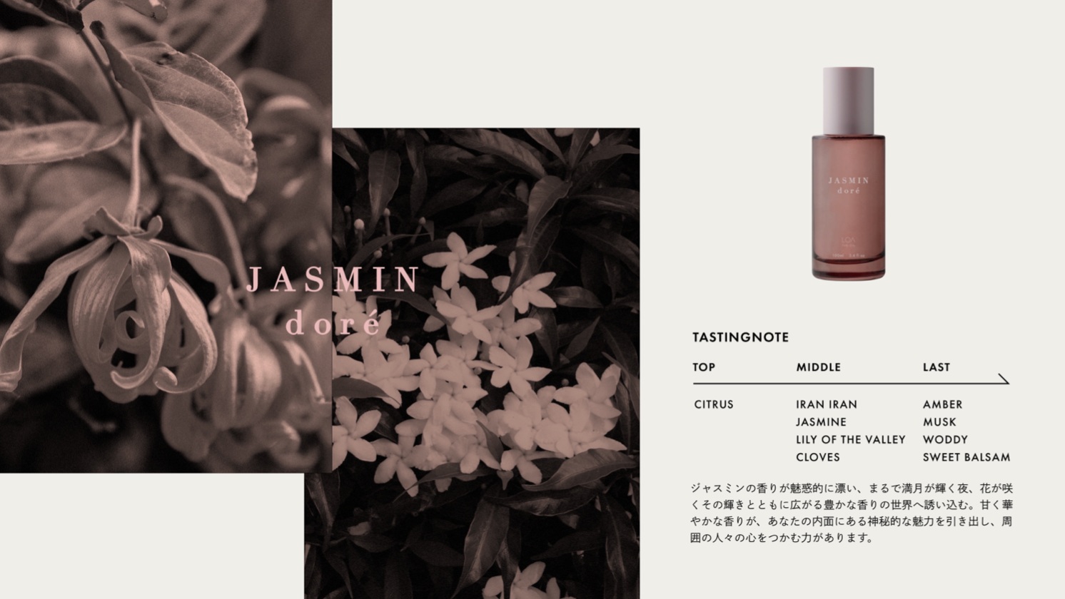 LOA THE OIL "CARE" JASMIN doré