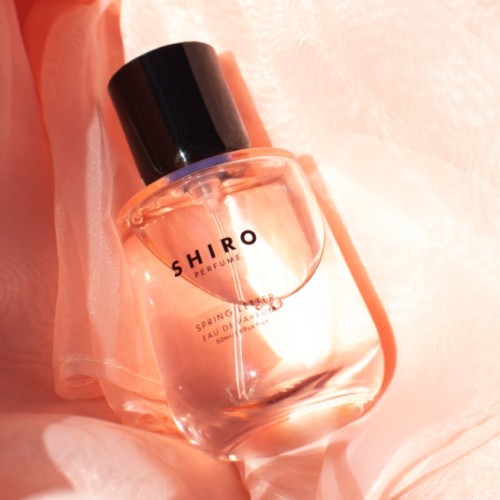 SHIRO スプリングレター