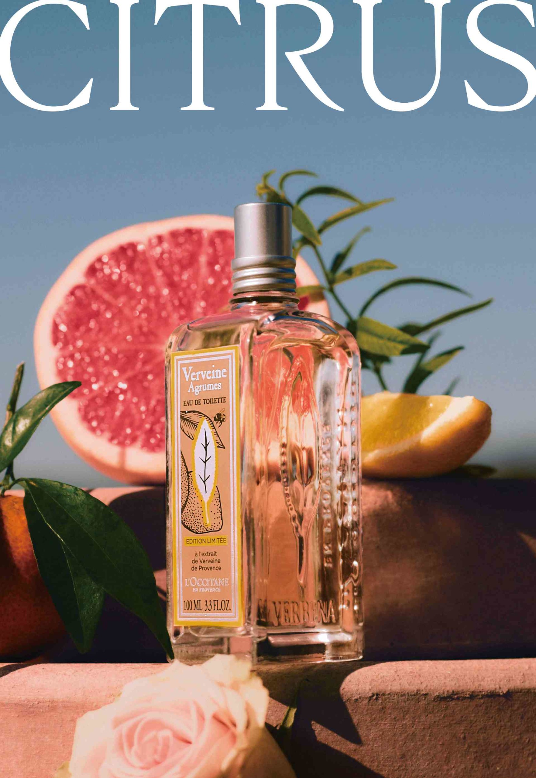 ロクシタンから「シトラスヴァーベナ」シリーズが登場 初夏の