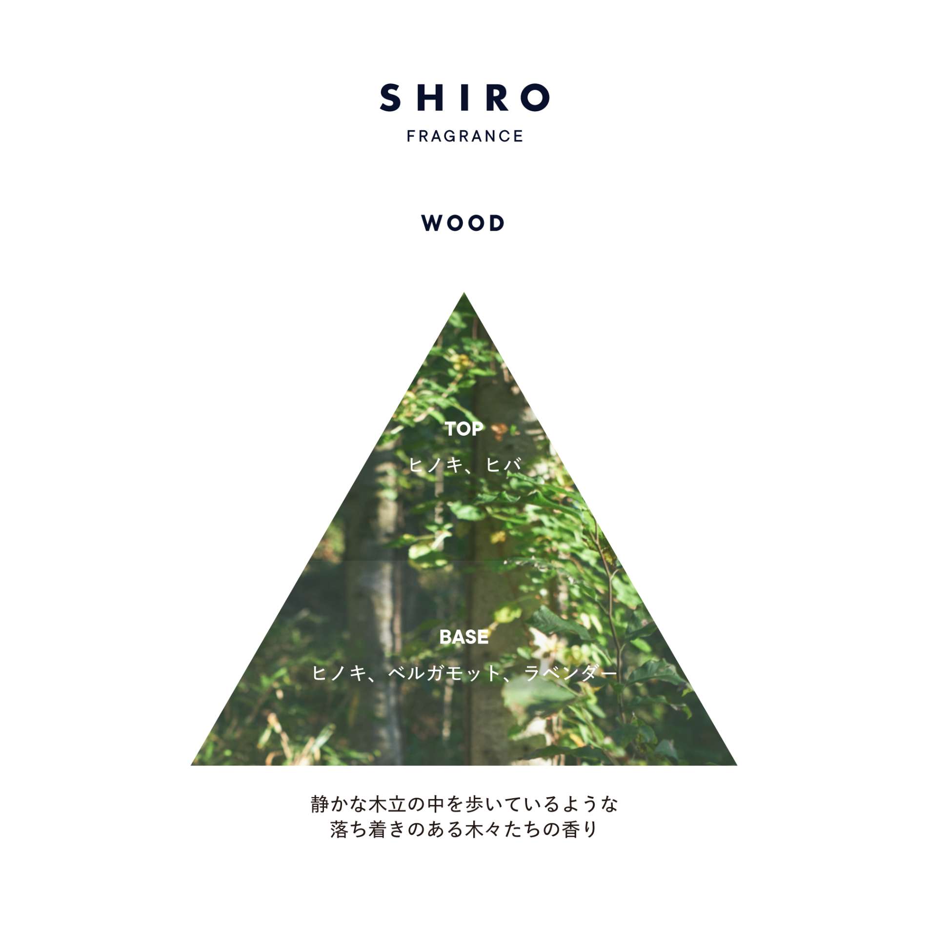 SHIRO WOOD