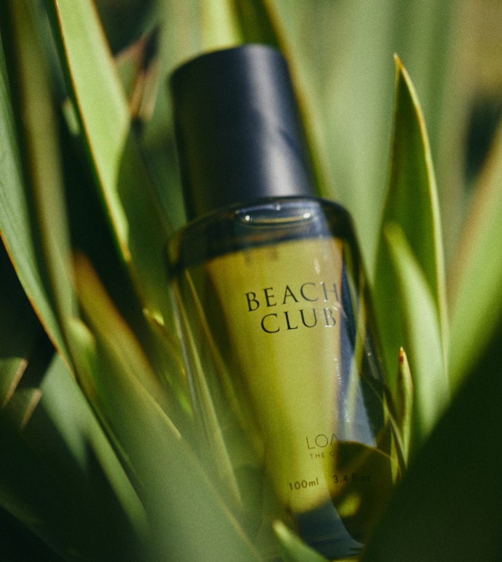 LOA THE OIL BEACH CLUB