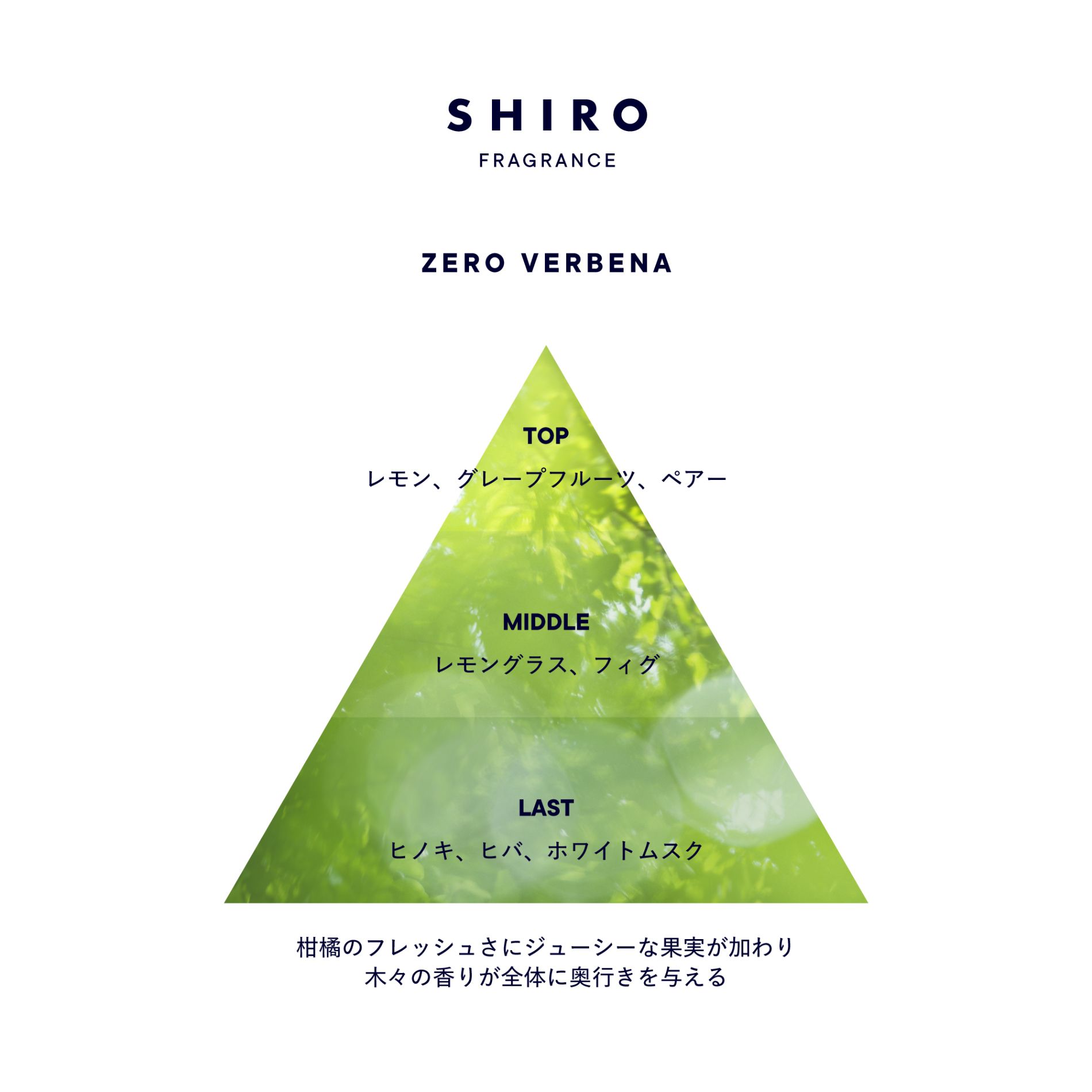 SHIROゼロヴァーベナ