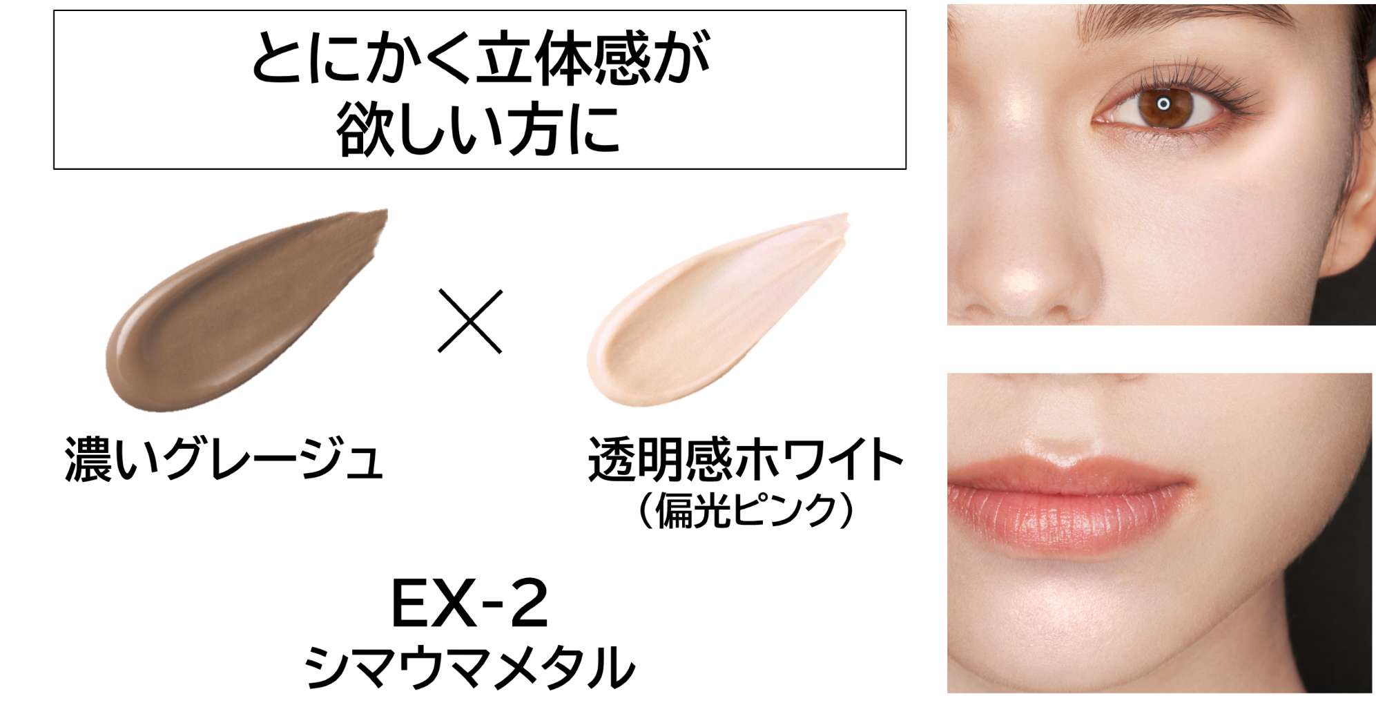 EX-2 シマウマメタル
