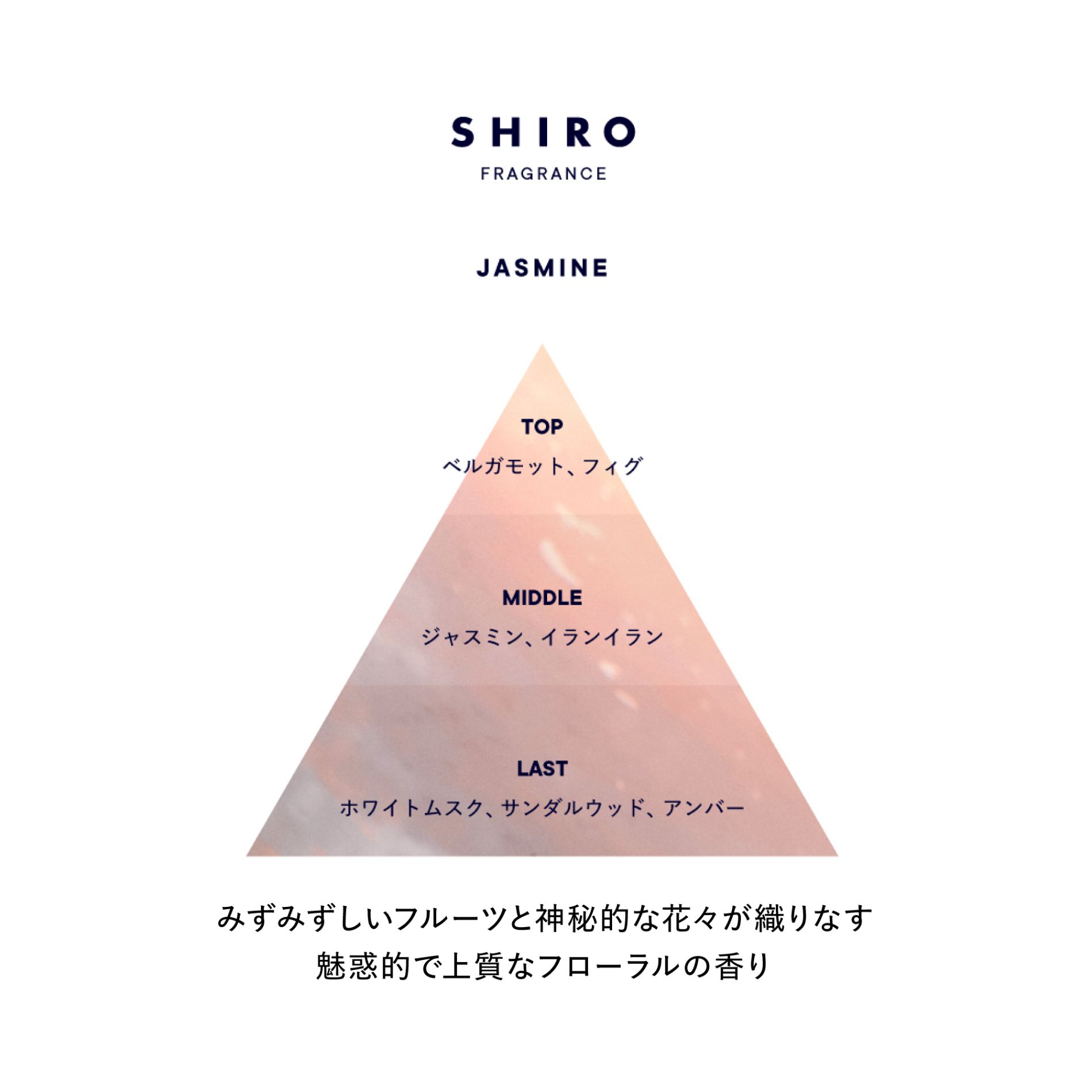 SHIRO ジャスミン