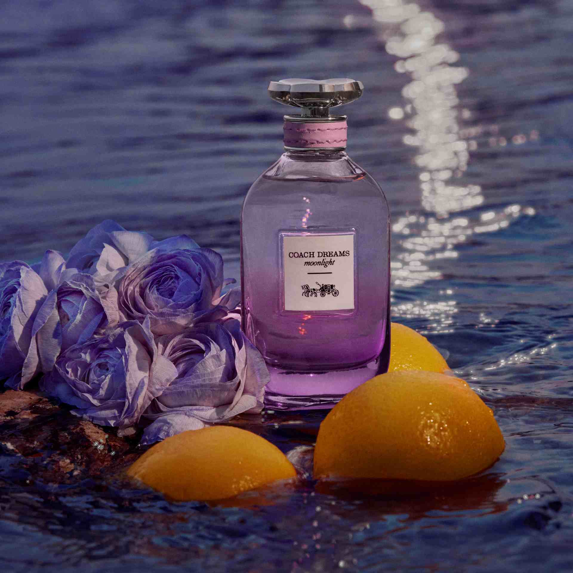 COACH DREAMS 香水 Amazon.co.jp: Coach Dreams 1.4 fl oz (40 ml) EDP SP : Beauty