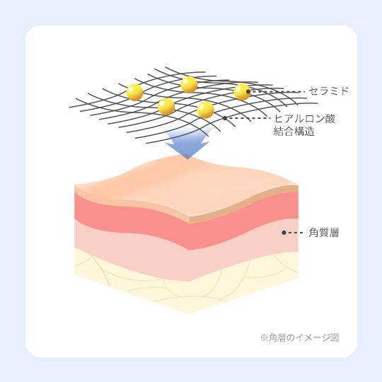 セラーヒアルロン酸™