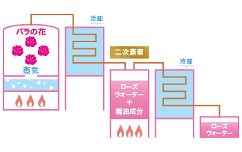 ダブル蒸留されたローズウォーター