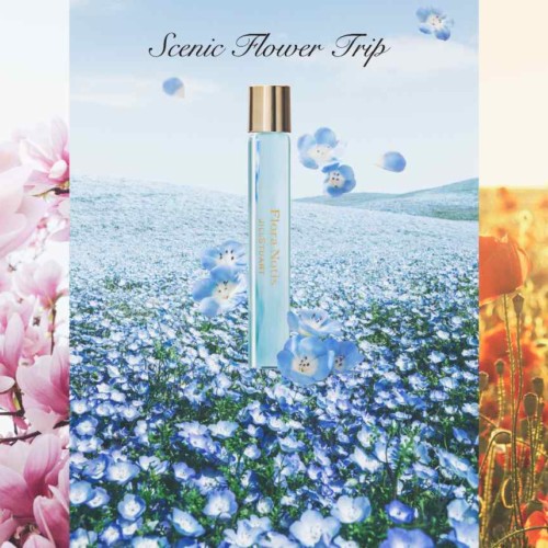 Flower Trip Collection