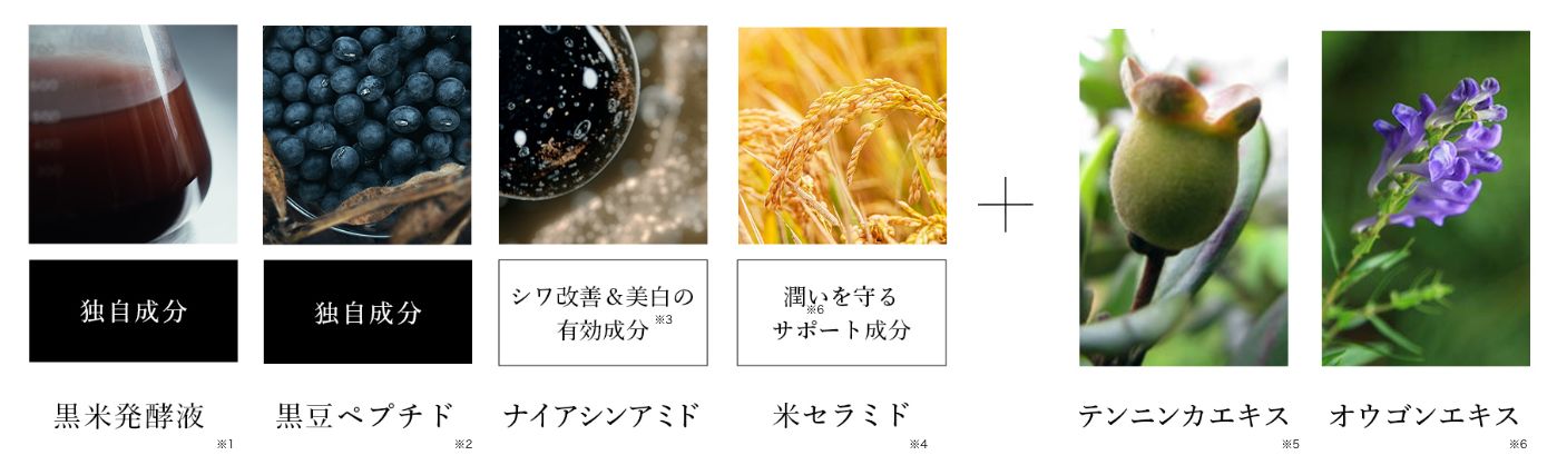 FAS ザ ブラック デイ クリーム