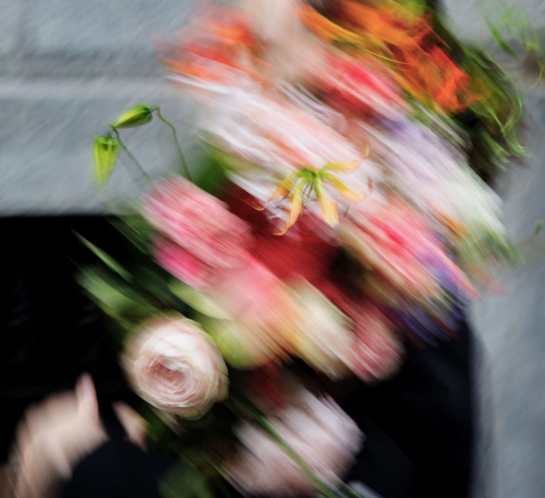 SHIROから2種のゼロコレクションパフューム ベースはフリージアミスト