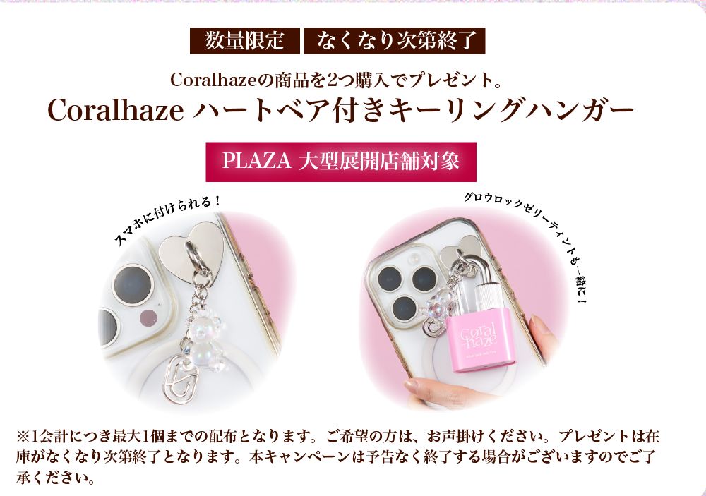 PLAZA大型展開店舗対象