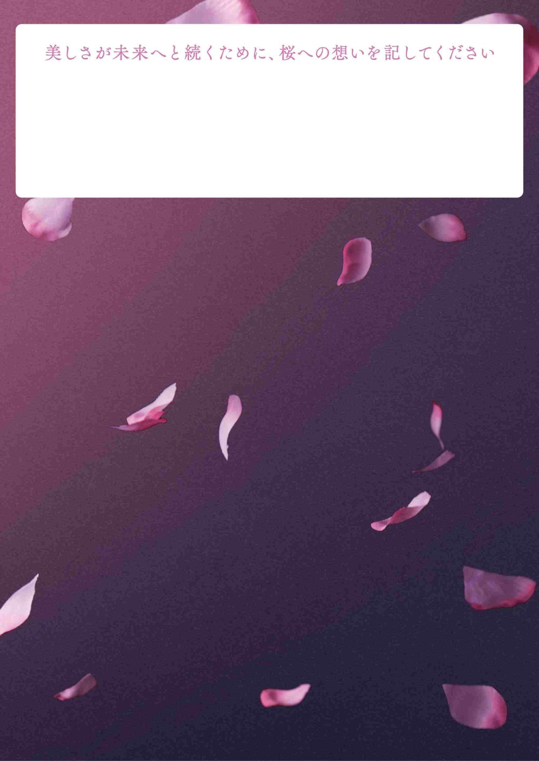 夜桜ポストカード