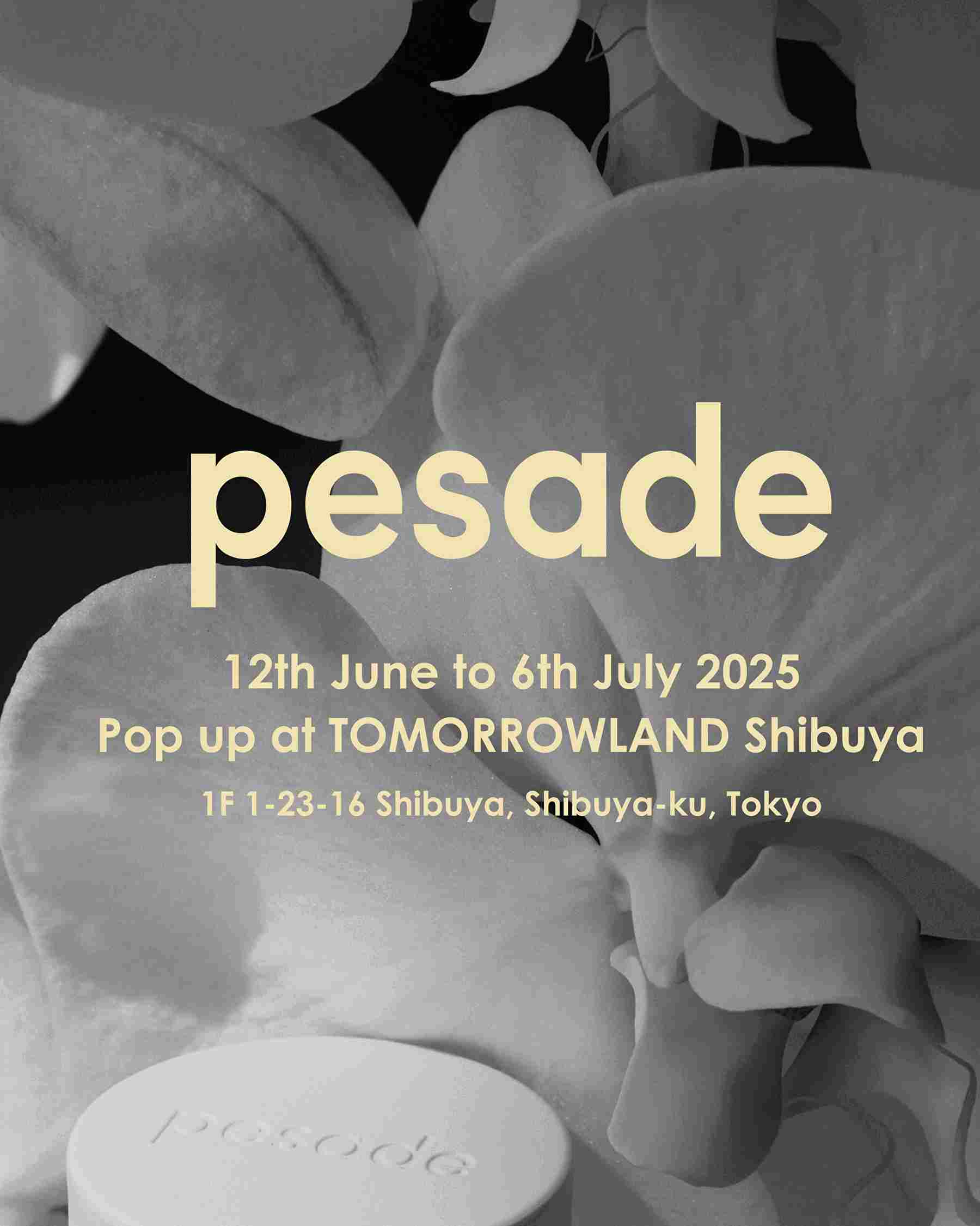 pesade(ペサドゥ)