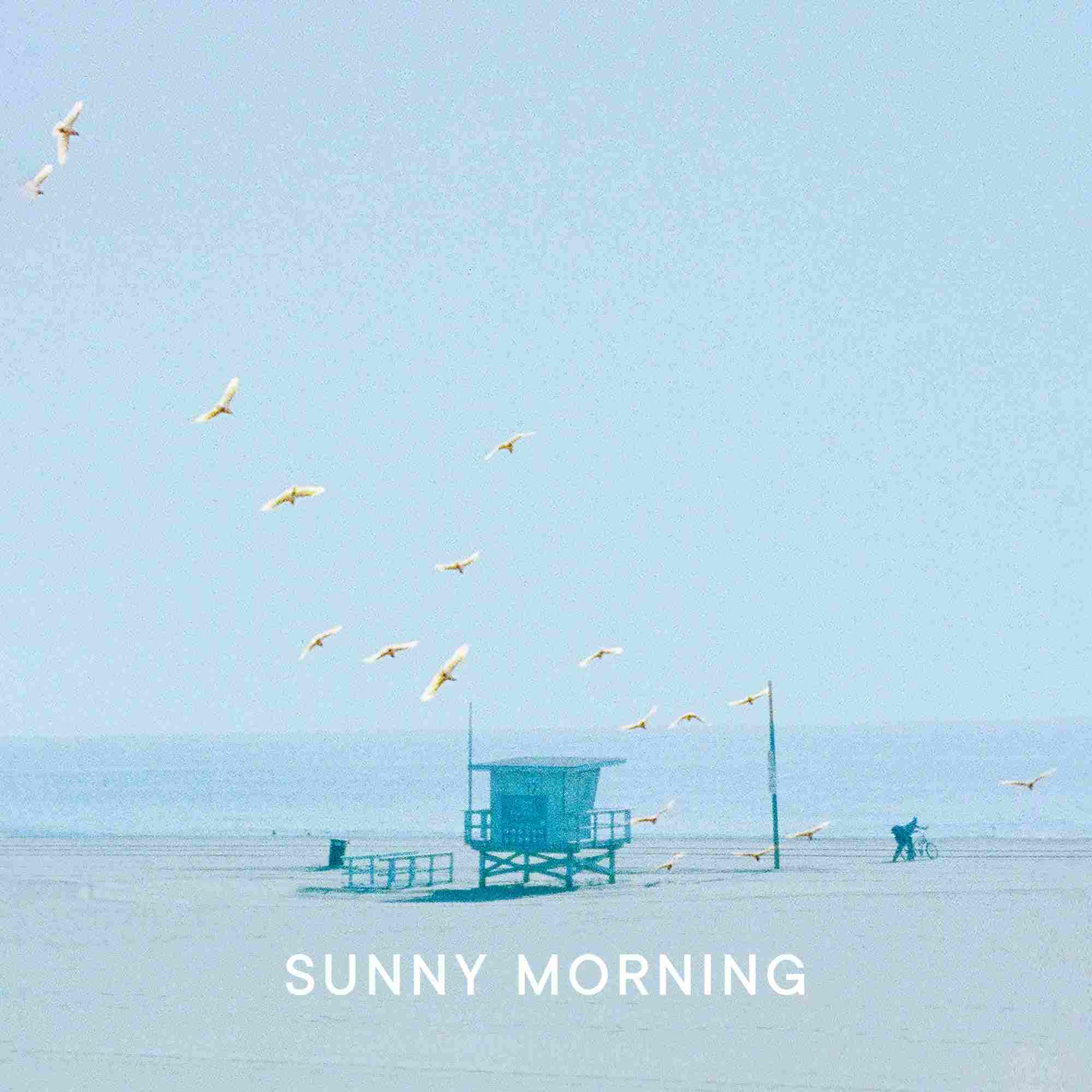 SUNNY MORNING