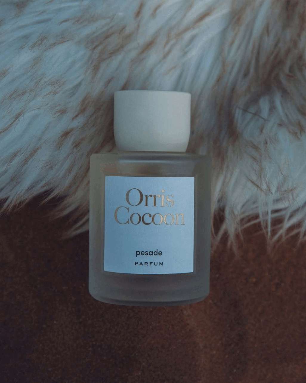オリス コクーン（Orris Cocoon）