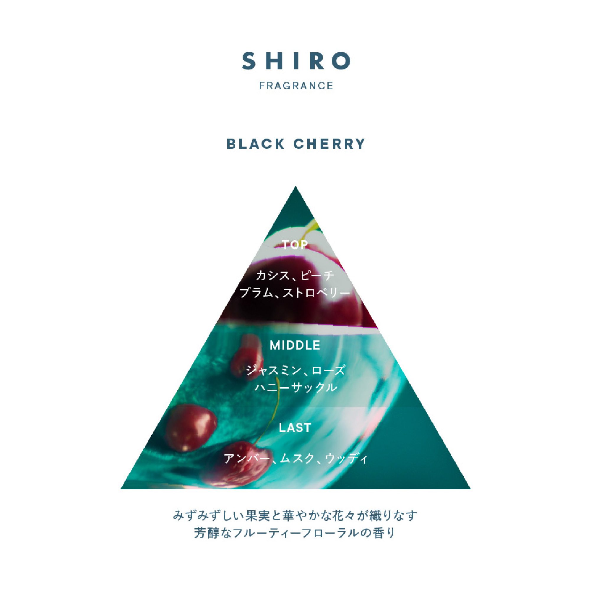 ブラックチェリー オードパルファンの香り内訳