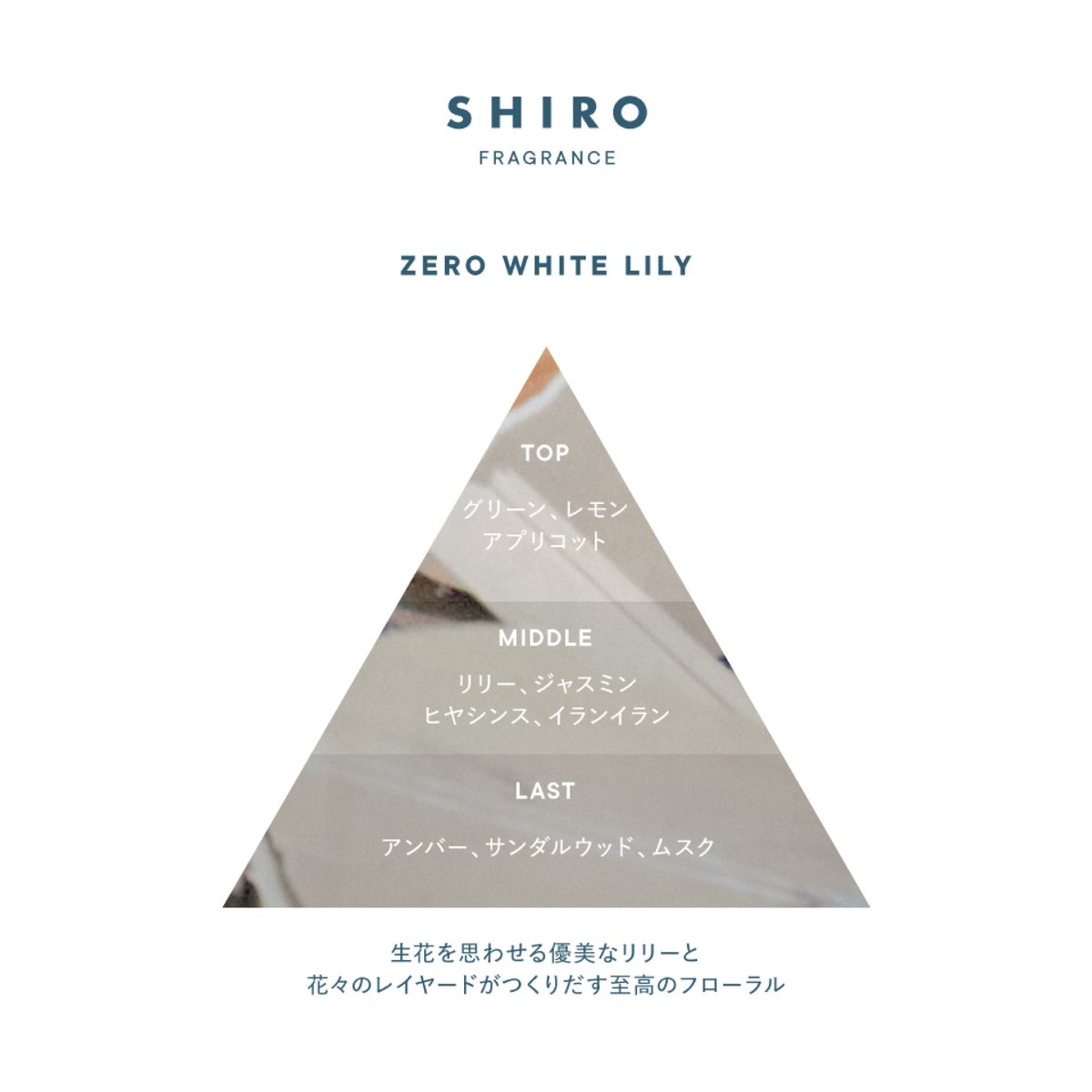 ZERO WHITE LILY（ゼロホワイトリリー）
