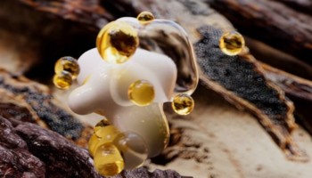 バニラ（紅茶）