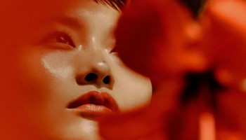 レッド ハイビスカス