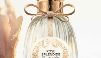 SHIRO スパイスオブライフ シャンプー&コンディショナー 460ml SHIRO「SPICE OF LIFE」のシャンプー＆コンディショナー、ボディ