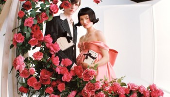 タイフ ローズ コロン インテンス