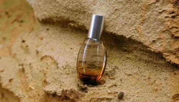 ROAlív(ロアリブ)から秋の香り「エレウテリア」